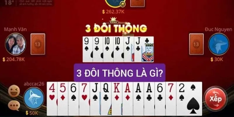 Tìm hiểu về 3 đôi thông là gì 